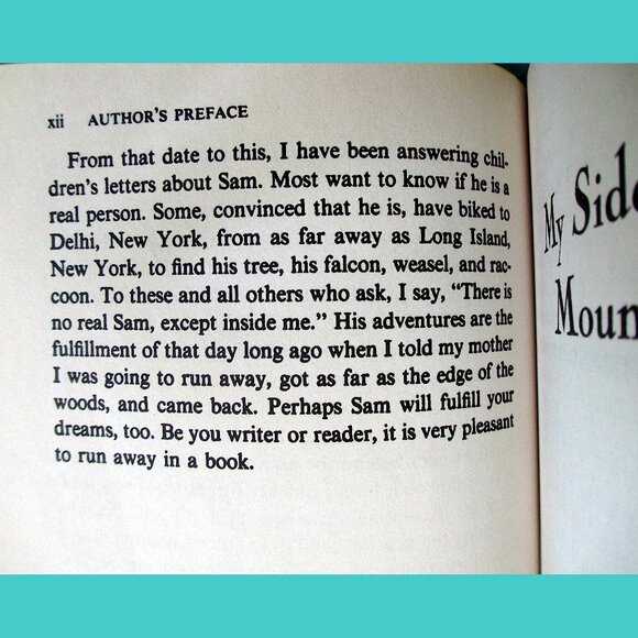 Book: My Side of the Mountain, written & illustrated by Jean Craighead George - Picture 11 of 15